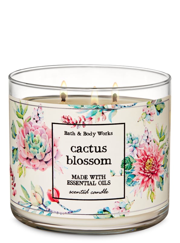 bath and body works cactus candle